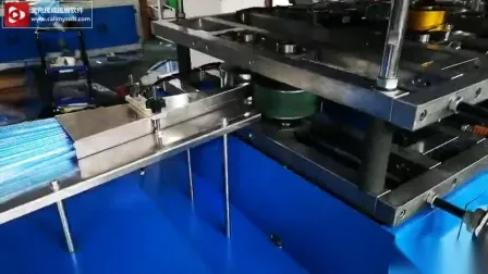 Medical Disposable Machine Plastic PE SPA Liner Cover Making Machine